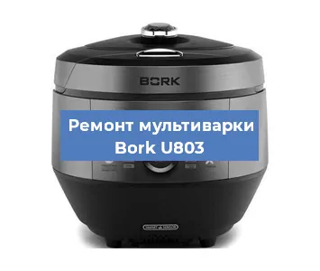 Замена ТЭНа на мультиварке Bork U803 в Красноярске